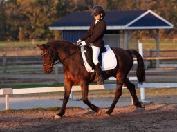 IMG_8072_web